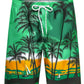 Men's 9" Quick Dry Swim Trunks Big & Tall Beach Swimsuits Bathing Suit