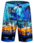 Men's 9" Quick Dry Swim Trunks Big & Tall Beach Swimsuits Bathing Suit