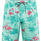 Men's 9" Quick Dry Swim Trunks Big & Tall Beach Swimsuits Bathing Suit